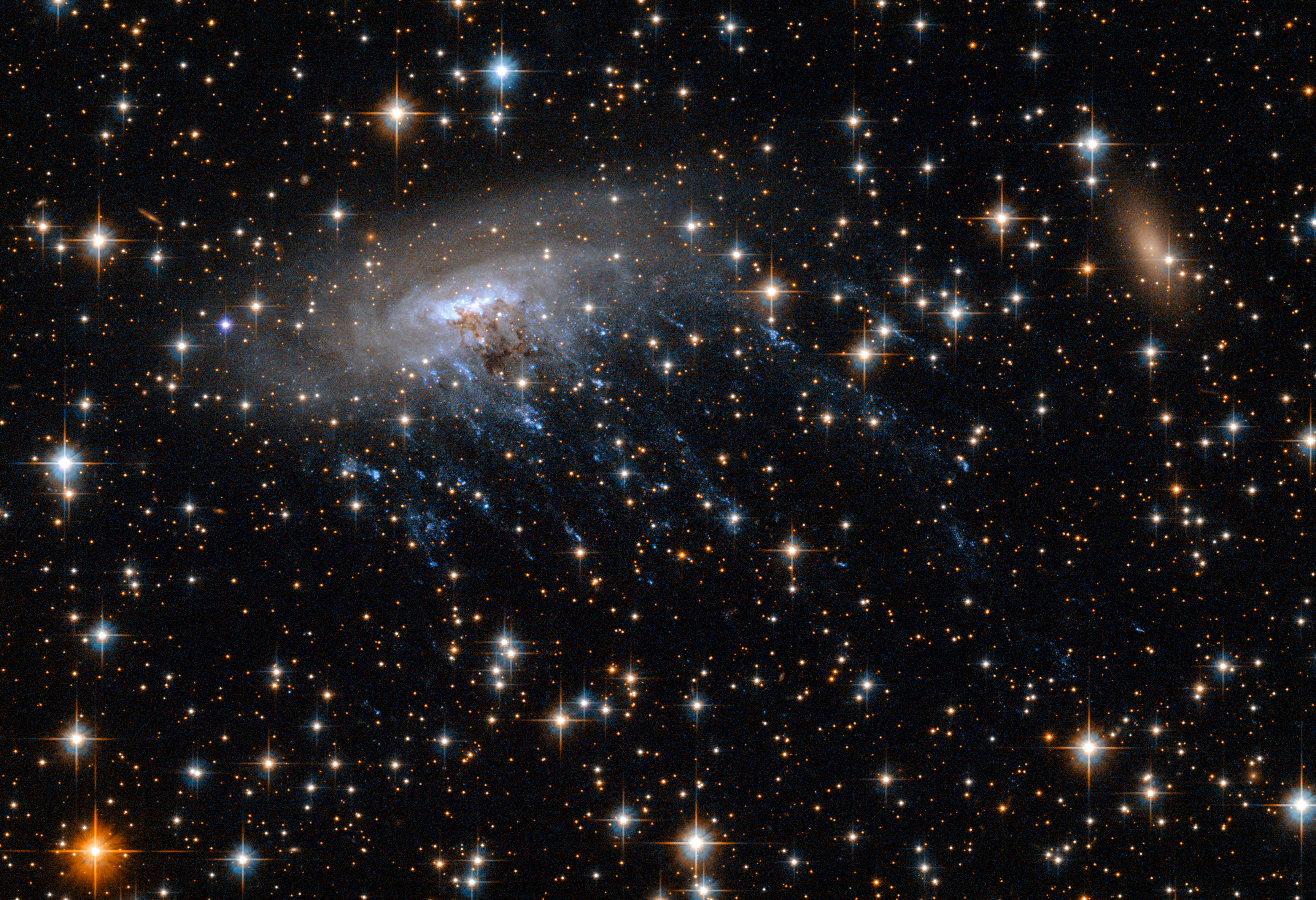 ESO 137-001, the Jellyfish Galaxy in the Norma Cluster, exhibiting dramatic ram-pressure stripping