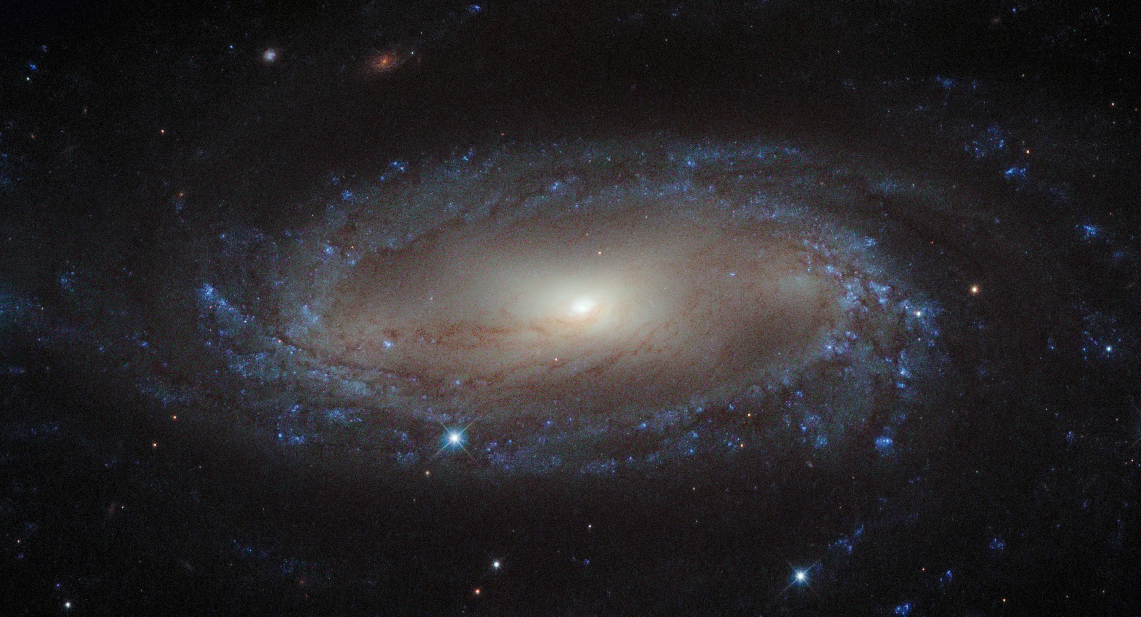 IC 2560, a barred spiral galaxy
