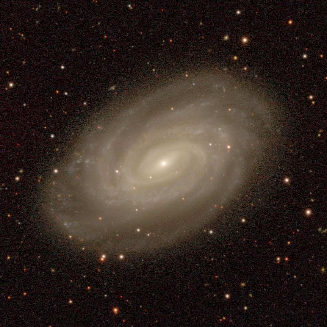 NGC 3054, a barred spiral galaxy in the Northern Filament