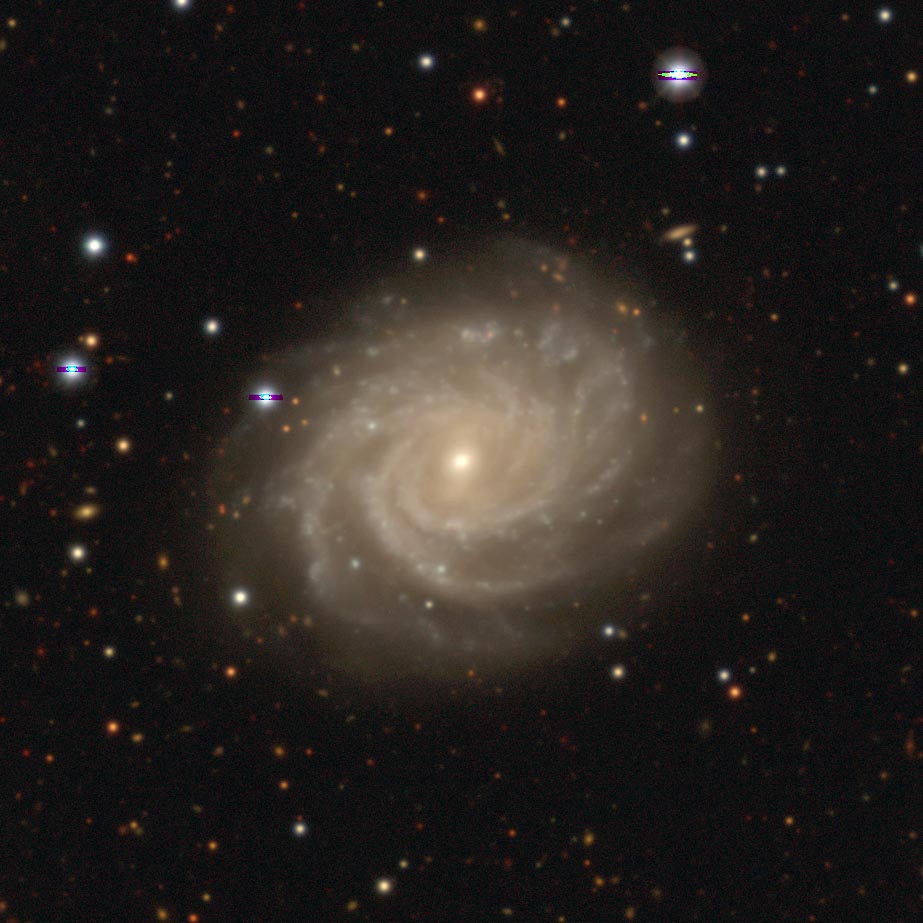 NGC 3336, a peculiar spiral galaxy in the Hydra B subgroup