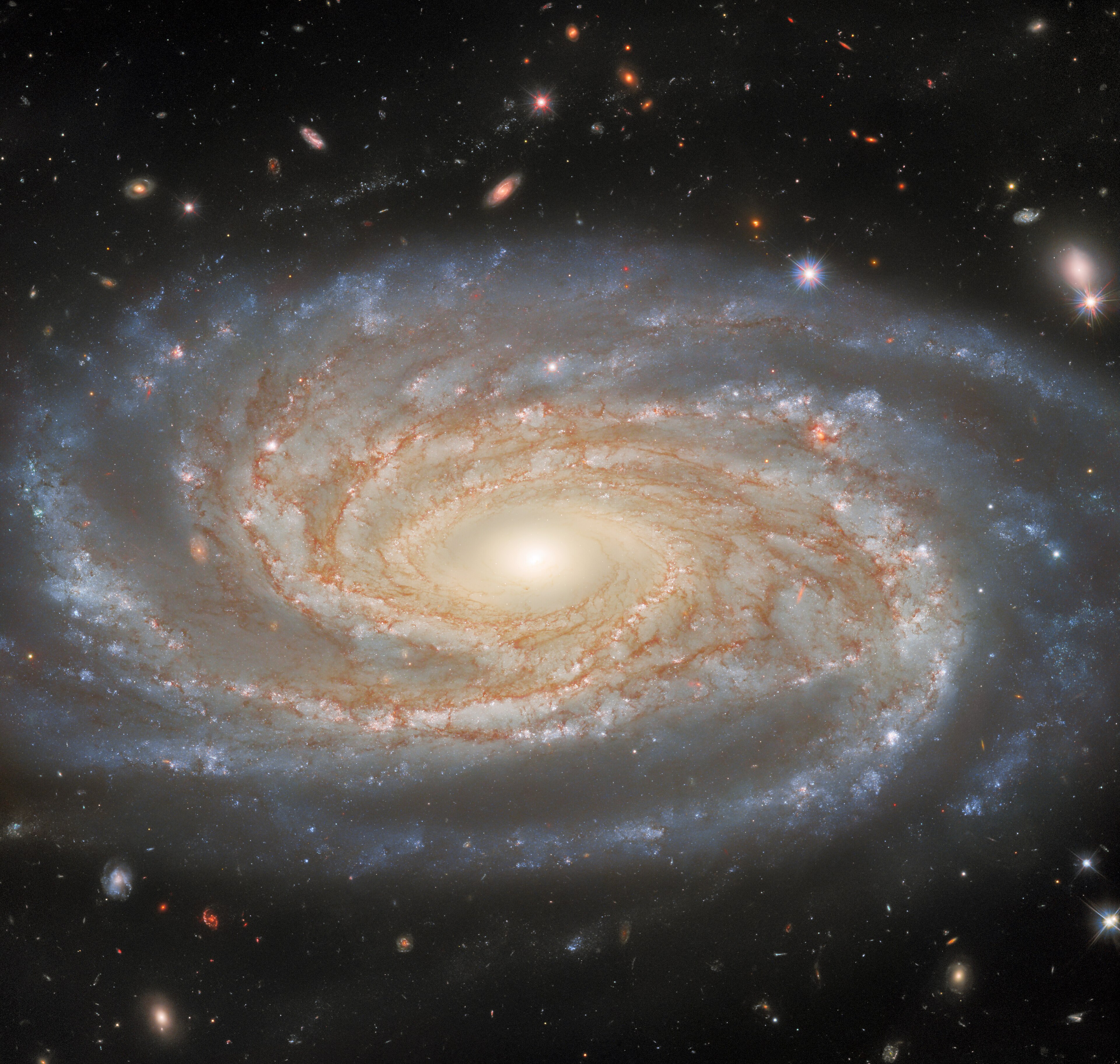 NGC 7038, a symmetric spiral galaxy in the Indus Cluster used as a Tully-Fisher distance calibrator