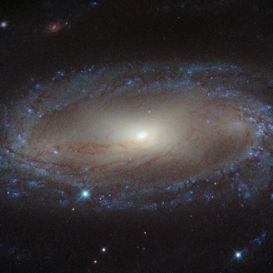 IC 2560, a barred spiral galaxy