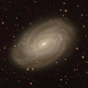 NGC 3054, a barred spiral galaxy in the Northern Filament