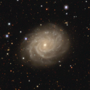 NGC 3336, a peculiar spiral galaxy in the Hydra B subgroup