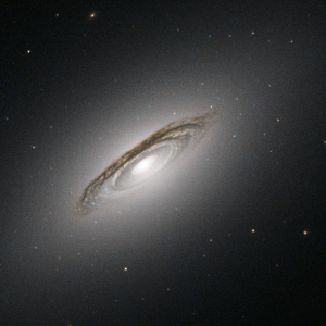 NGC 6861, a massive elliptical galaxy in the Telescopium Cluster harboring an anomalously oversized central black hole