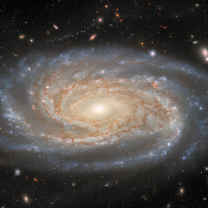 NGC 7038, a symmetric spiral galaxy in the Indus Cluster used as a Tully-Fisher distance calibrator