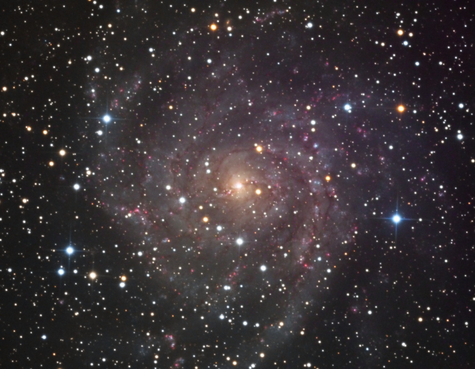 IC 342, the Hidden Galaxy