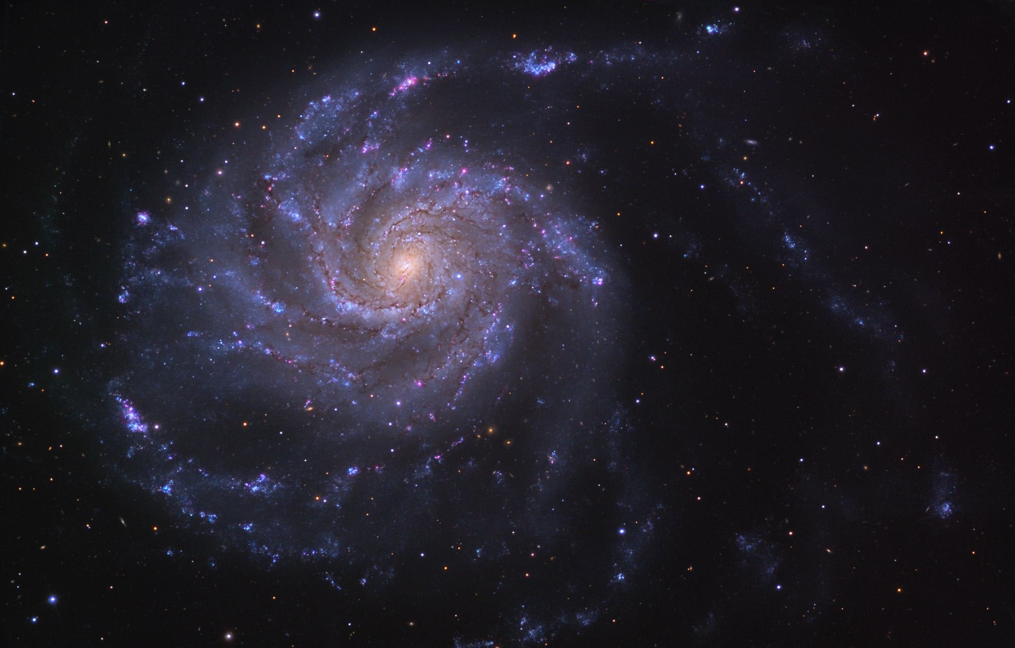 M101, the Pinwheel Galaxy, anchoring the M101 Group in the Coma-Sculptor Cloud