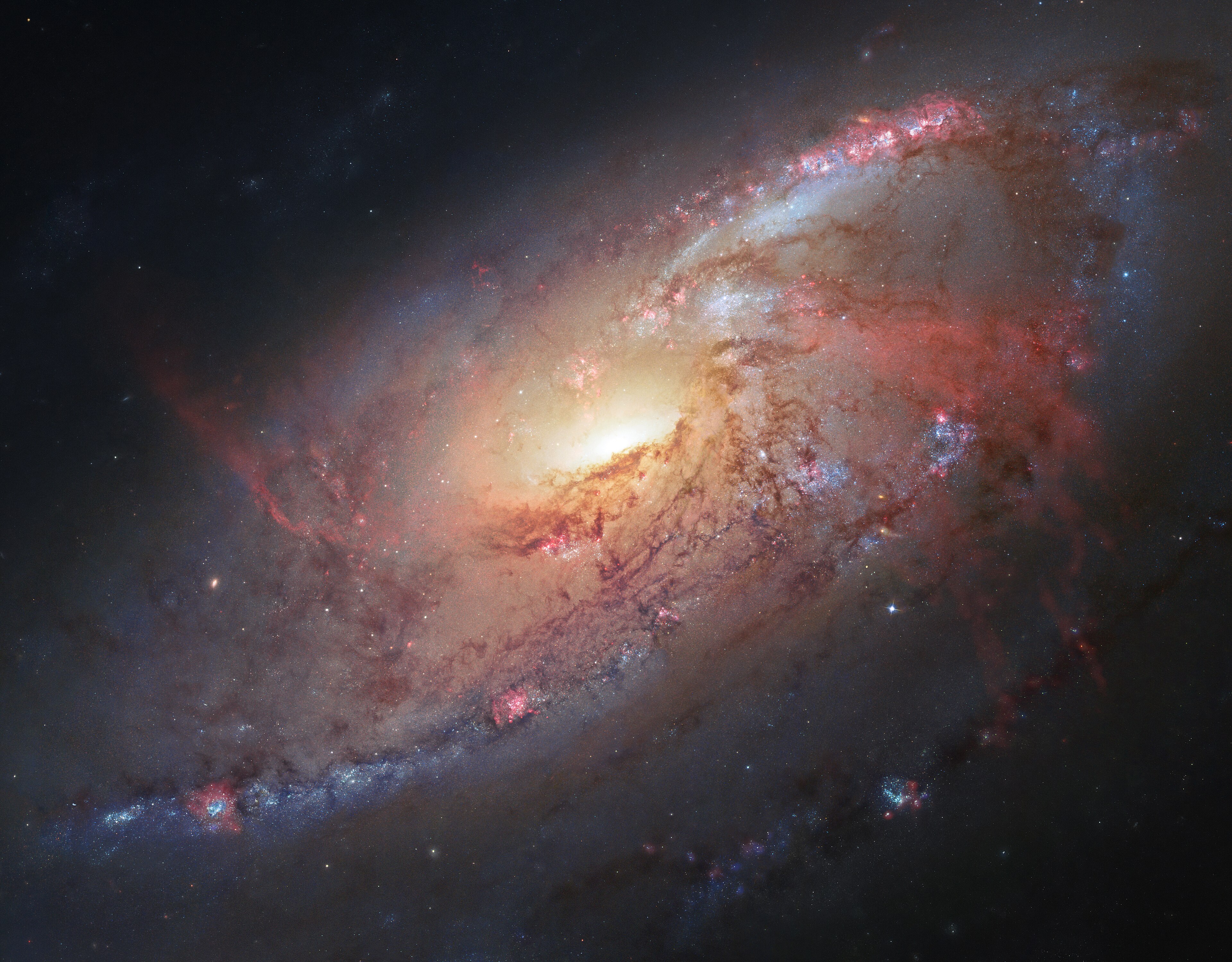 M106, a Seyfert galaxy anchoring the M106 Group