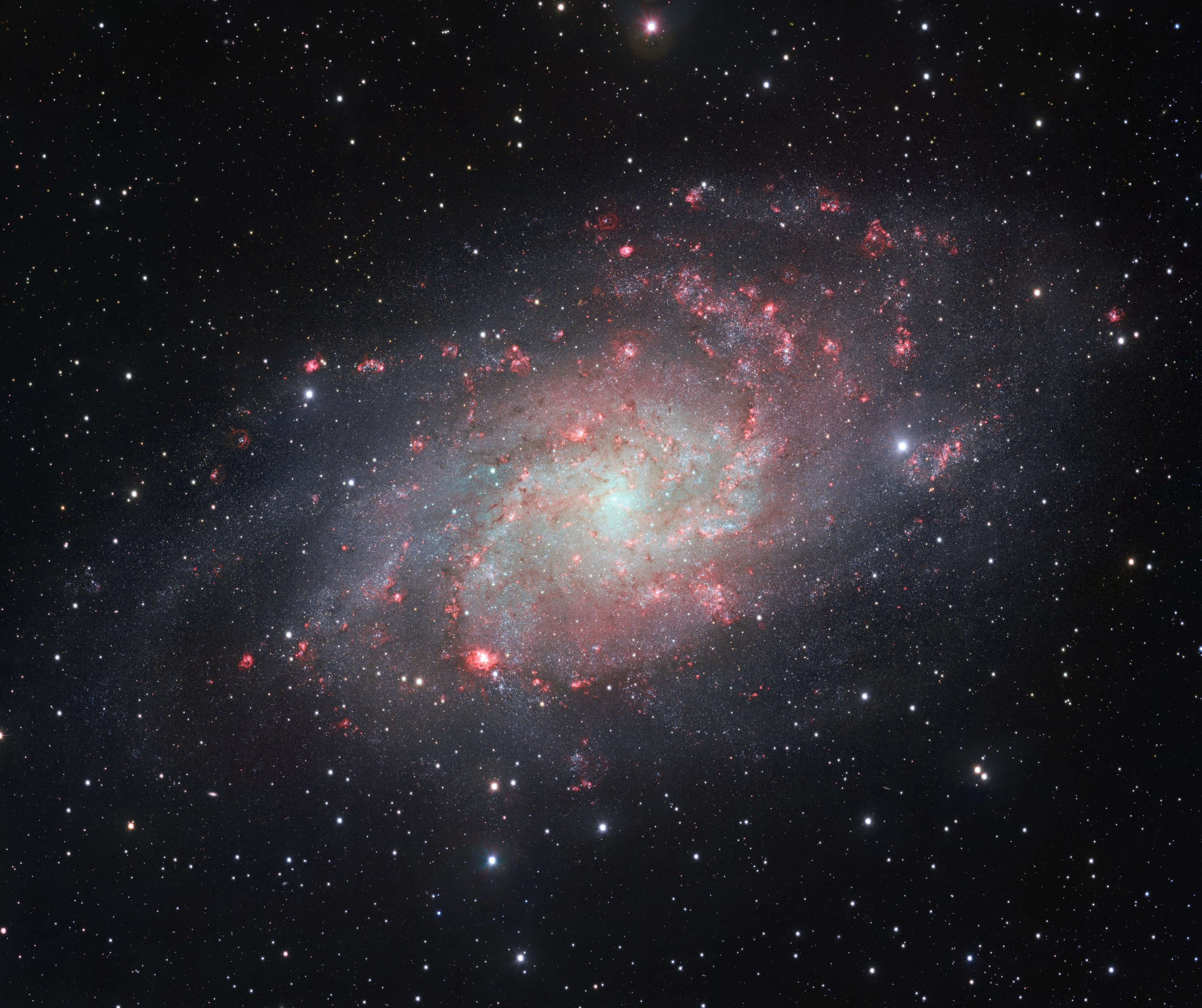 The Triangulum Galaxy (M33), the third primary spiral galaxy in the Local Group
