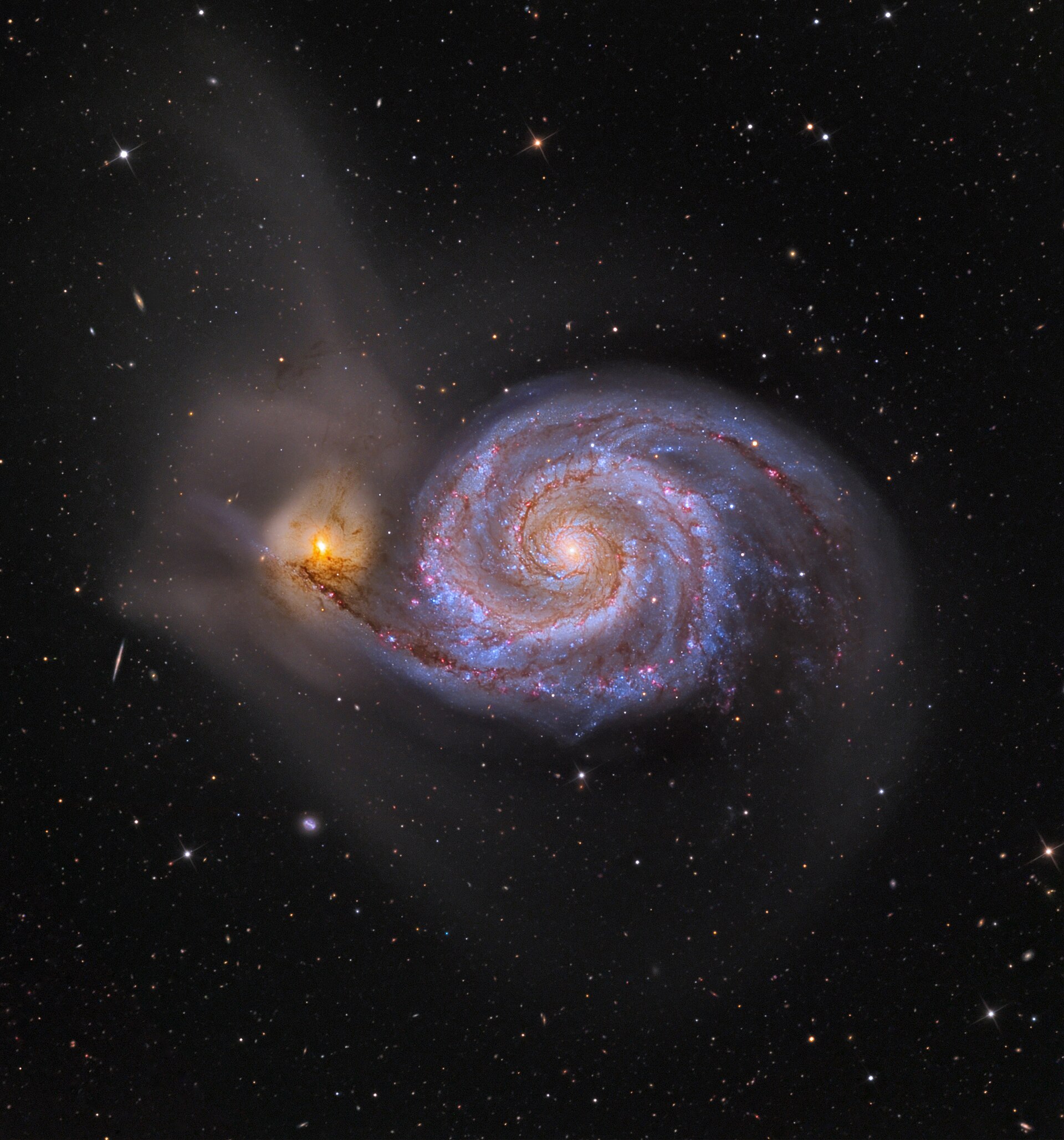 The Whirlpool Galaxy (M51), an iconic face-on spiral galaxy in the M51 Group of the Local Filament