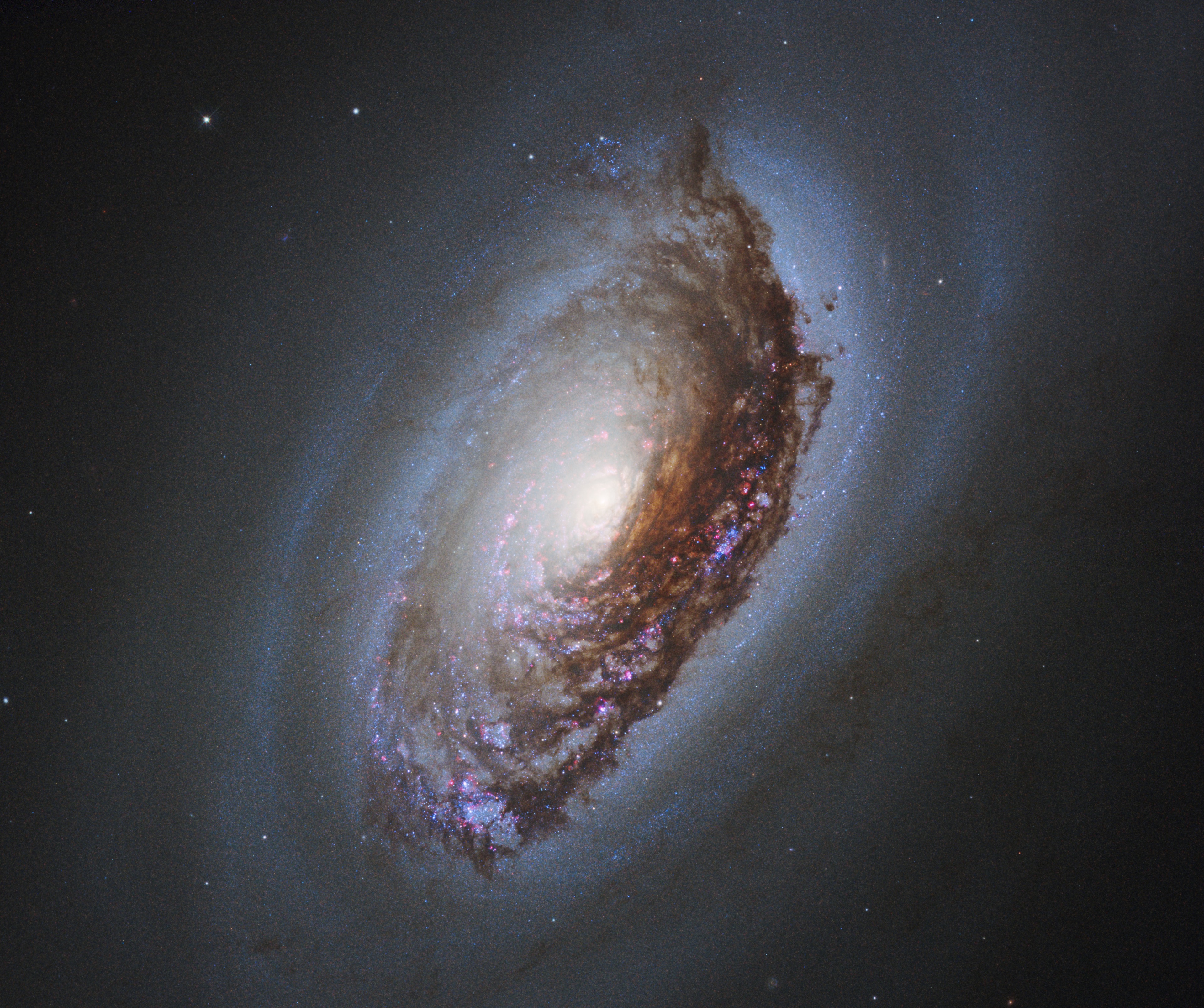 M64, the Black Eye Galaxy