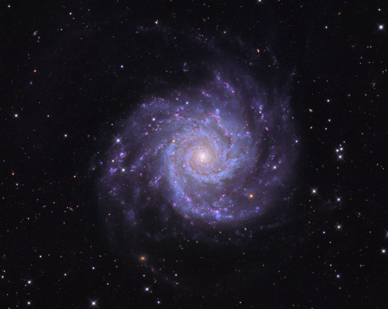 M74, the Phantom Galaxy, anchoring the M74 Group at the Local Void boundary