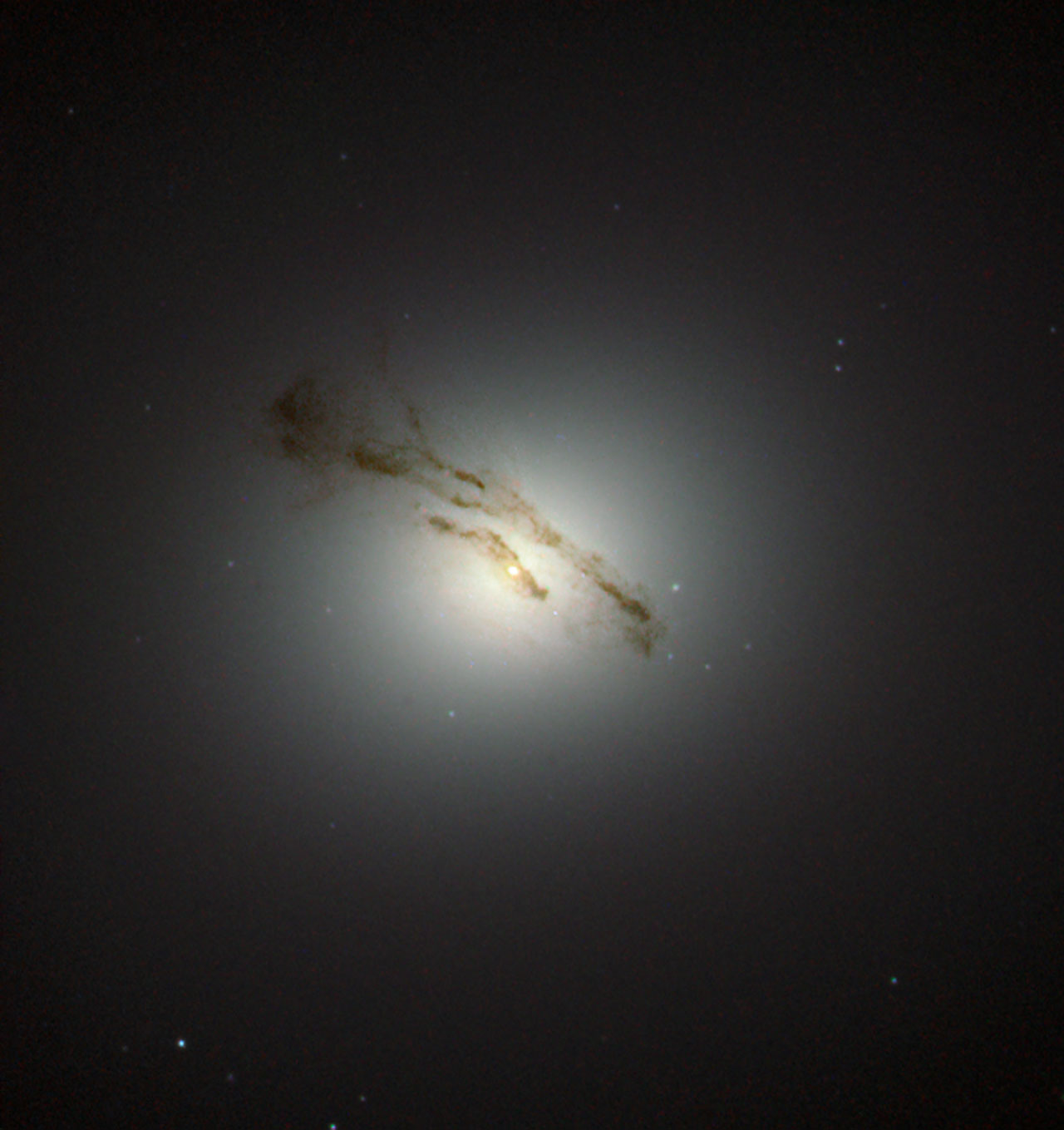 M84, a prominent elliptical galaxy in Markarian's Chain