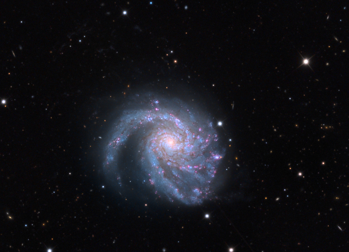 M99 (St. Catherine's Wheel), a spiral galaxy in the Northern Cloud subgroup