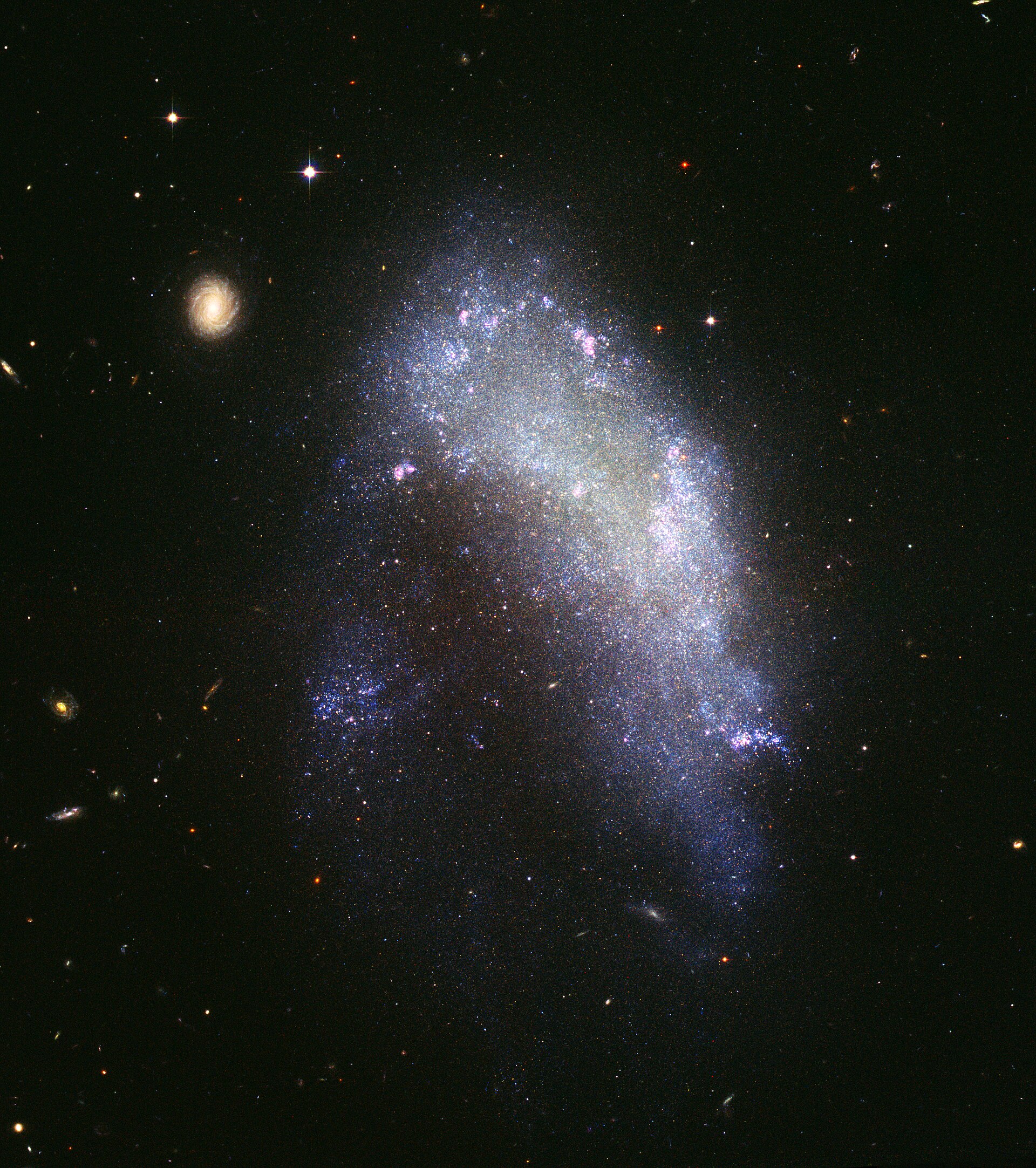 NGC 1427A, an irregular galaxy in the Fornax Cluster