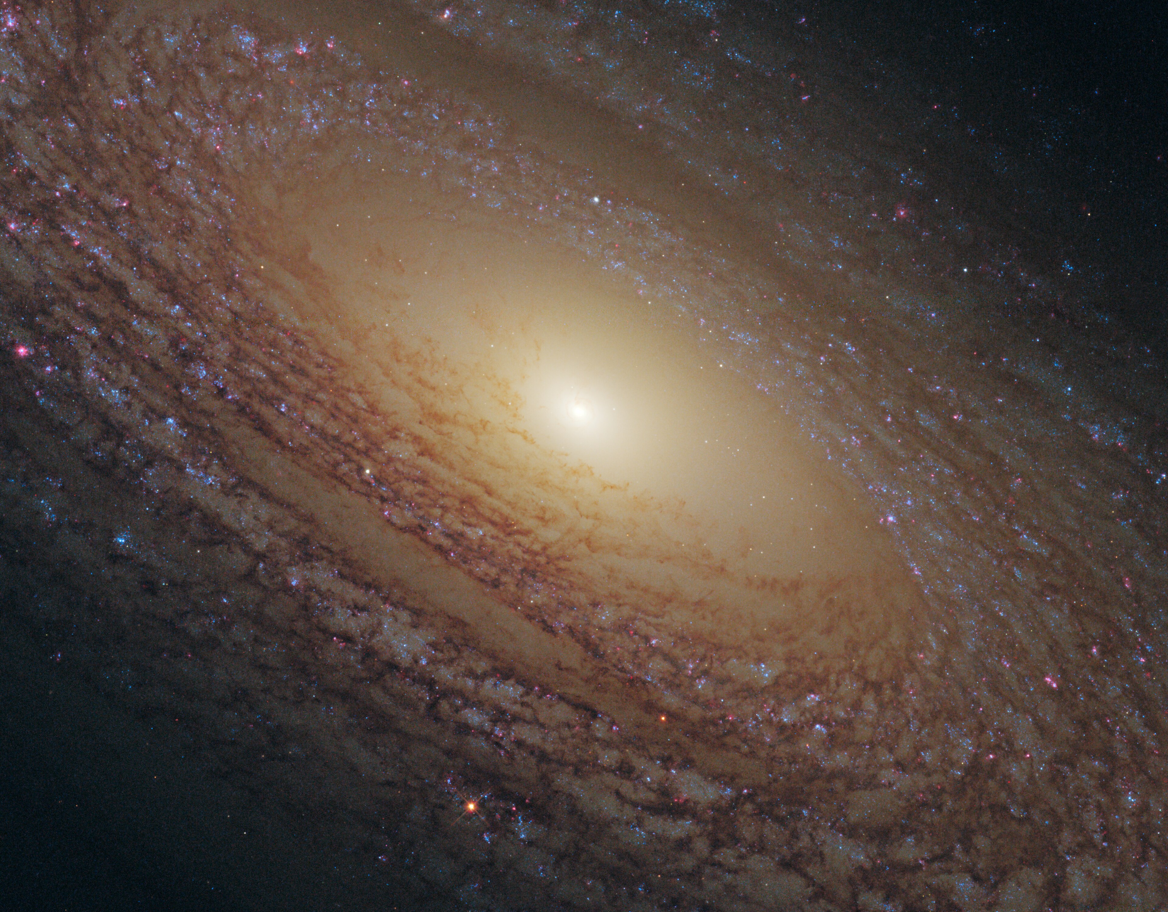 NGC 2841, a flocculent spiral galaxy anchoring its group in the Ursa Major Cloud