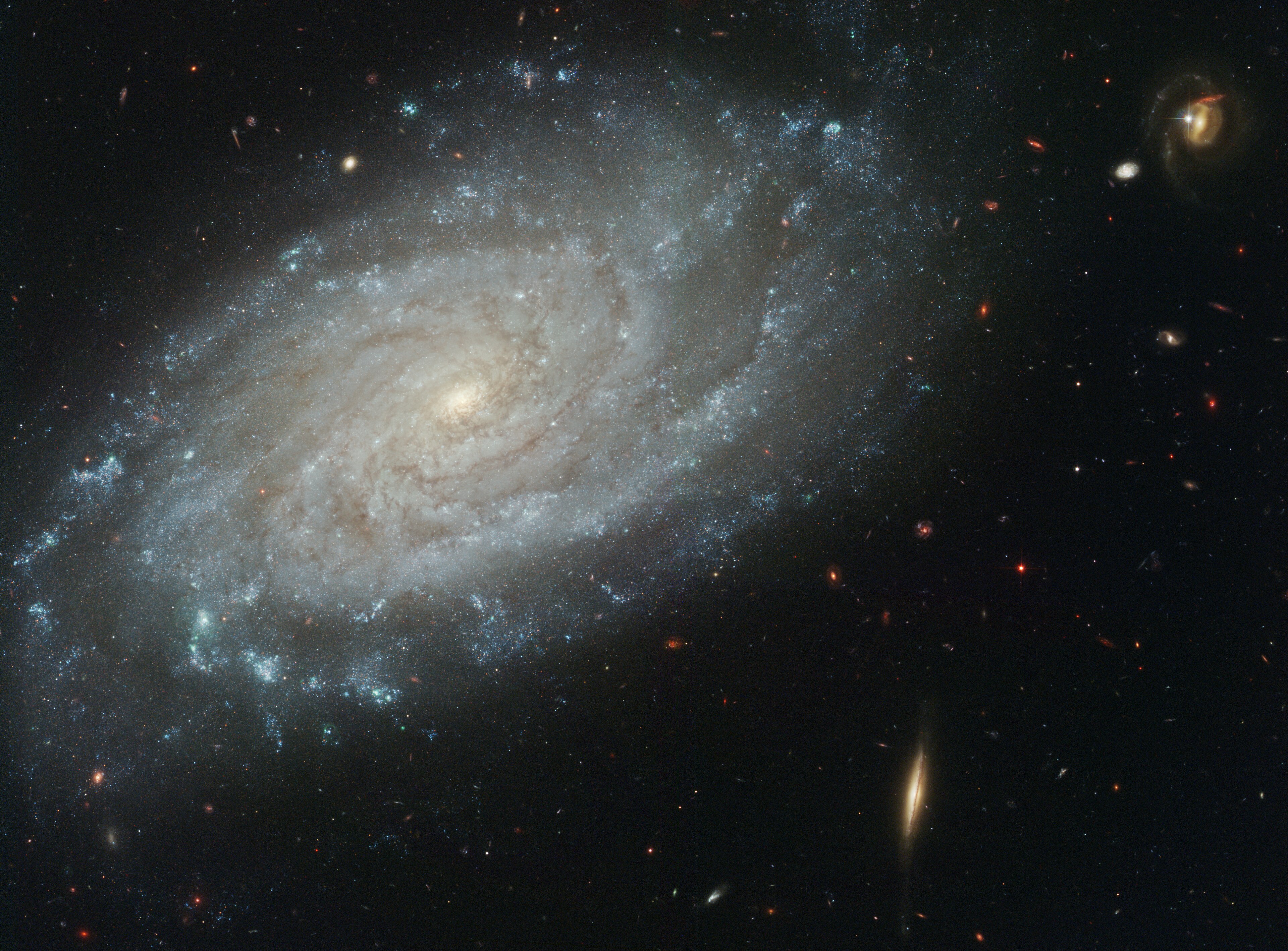 NGC 3370, a spiral galaxy anchoring the NGC 3370 Group in the Leo Association