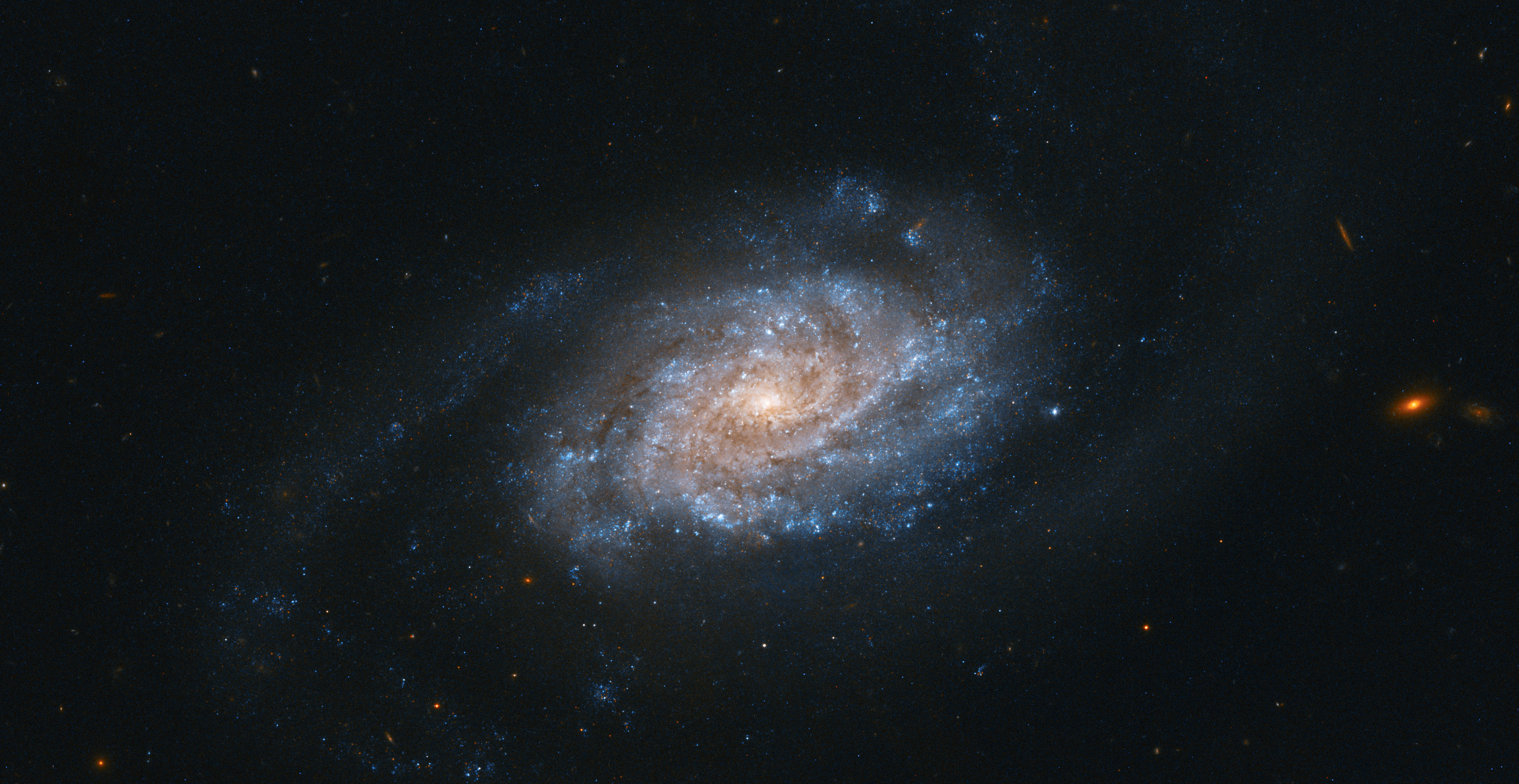 NGC 3455