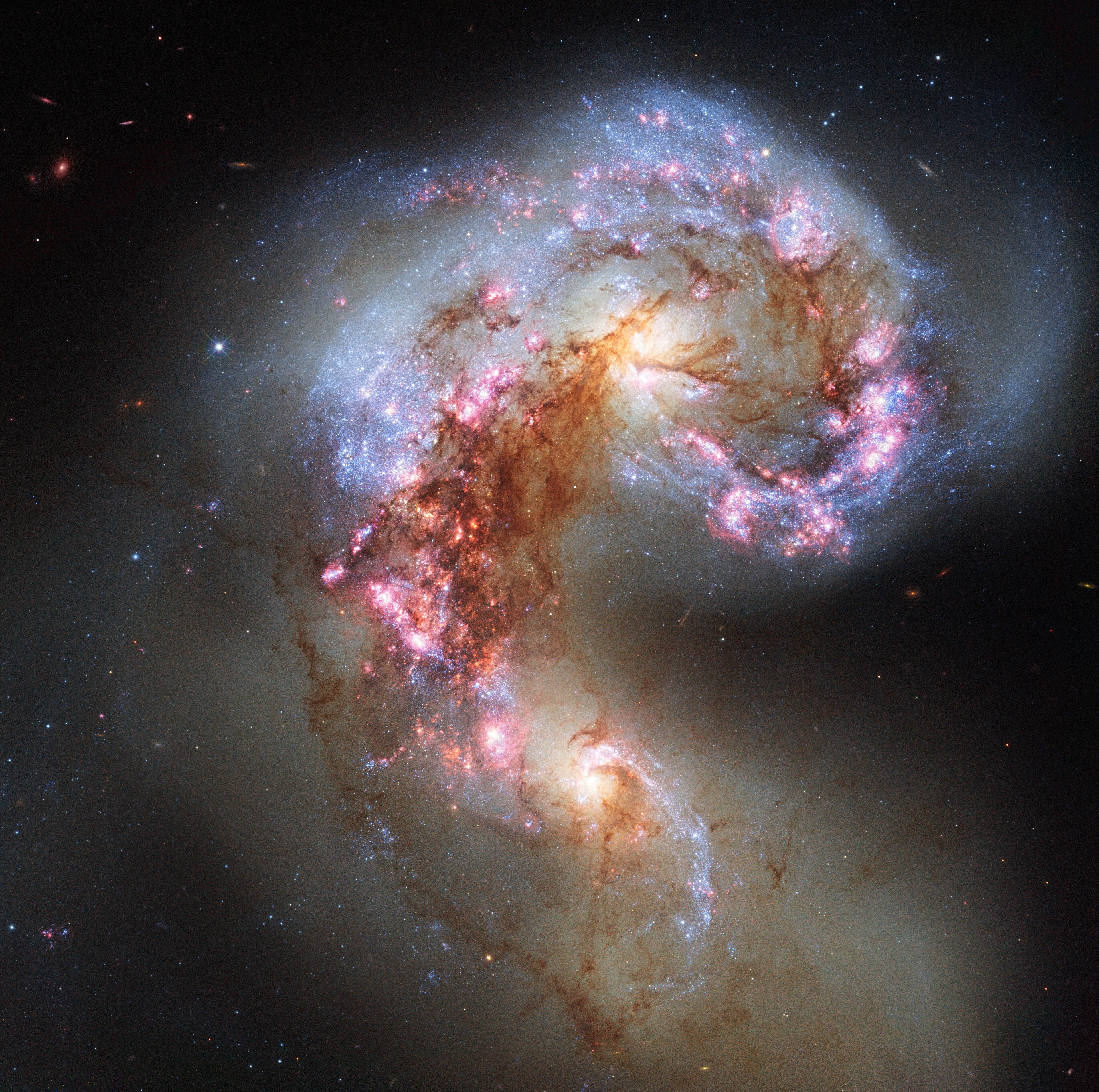 The Antennae Galaxies (NGC 4038 and NGC 4039), an archetypal galactic collision with dramatic tidal tails and intense starburst activity