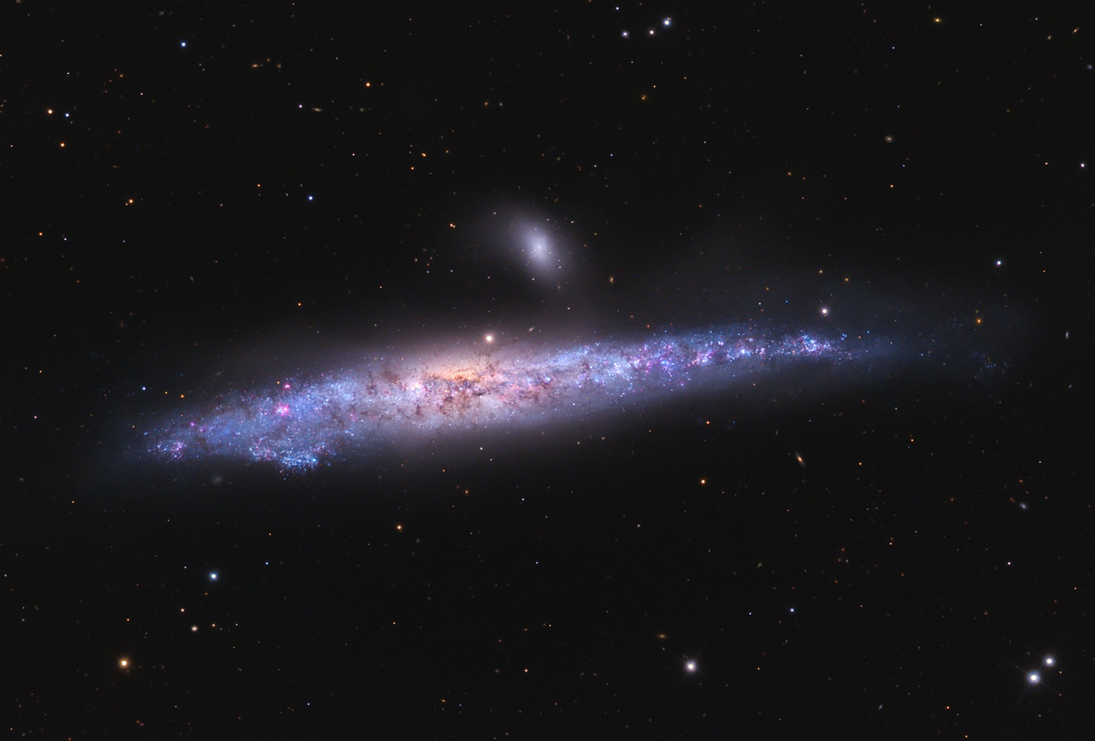 NGC 4631, the Whale Galaxy
