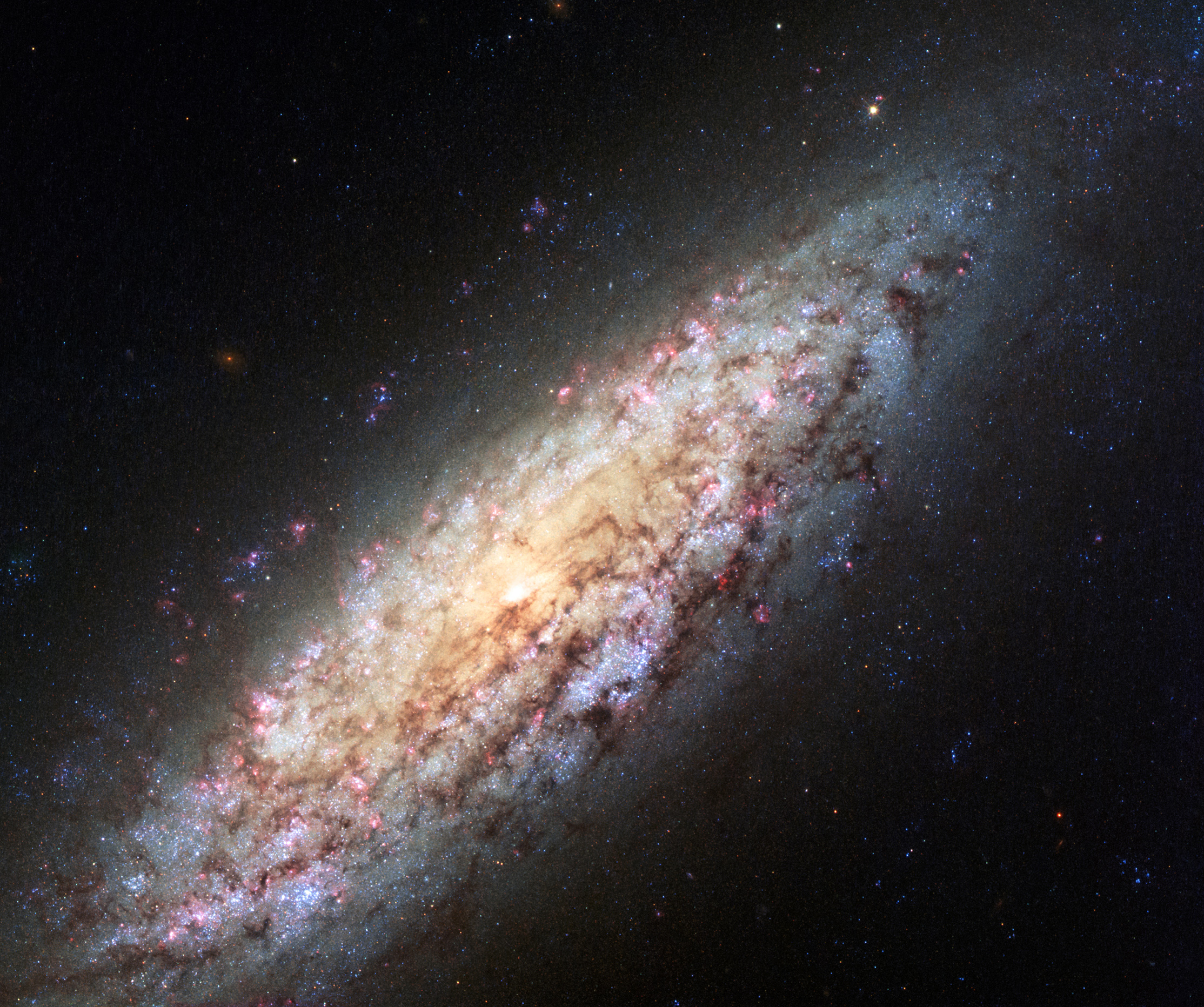 NGC 6503, the Lost-in-Space Galaxy, a true void galaxy drifting in isolation within the Local Void