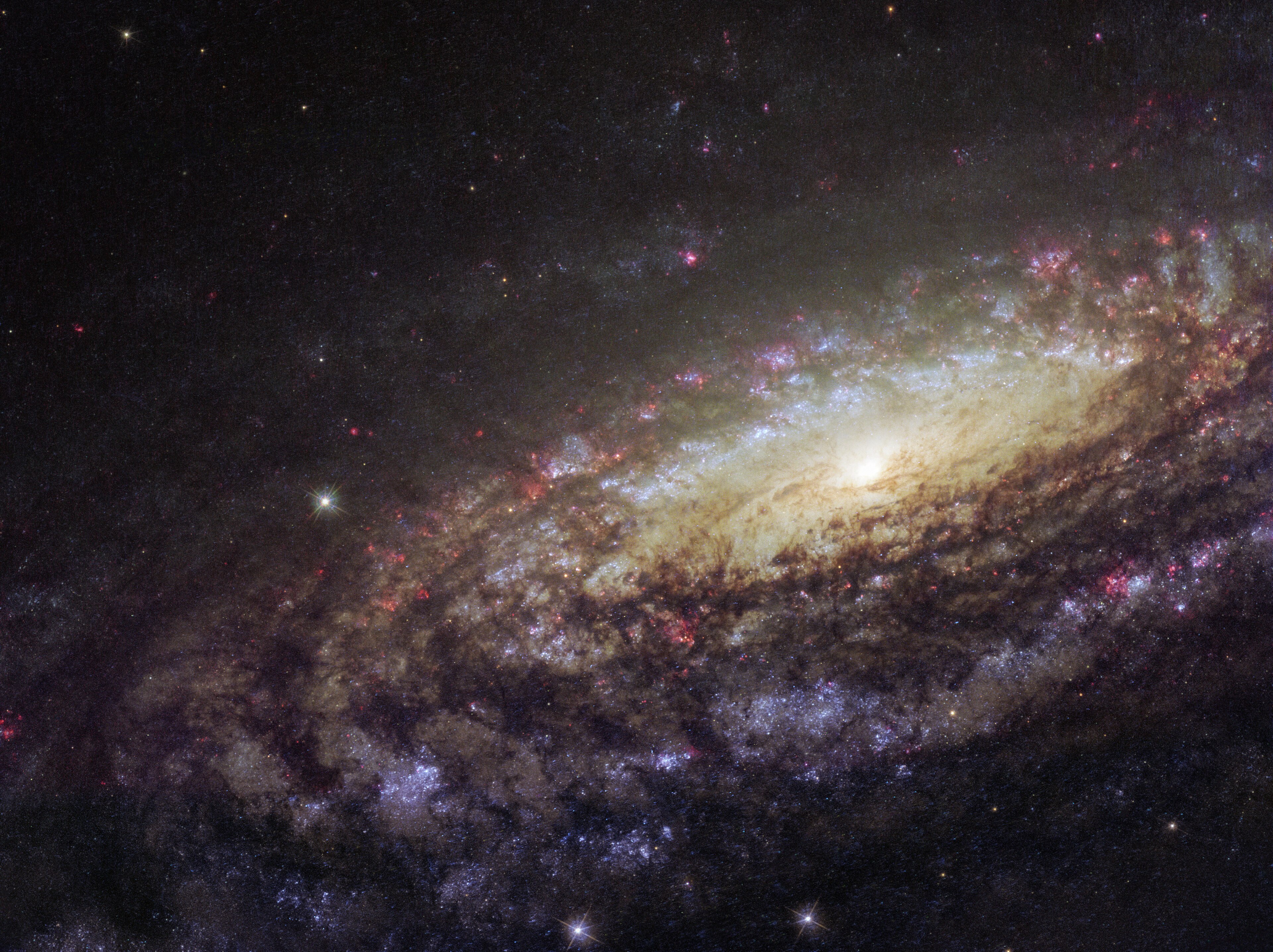 NGC 7331 (Caldwell 30)