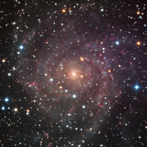 IC 342, the Hidden Galaxy