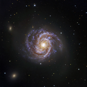 M100, a prominent spiral galaxy anchoring the Northern Cloud (M100 Subgroup) of the Virgo Cluster