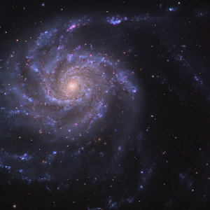 M101, the Pinwheel Galaxy, anchoring the M101 Group in the Coma-Sculptor Cloud