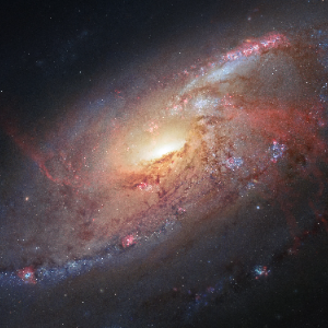 M106, a Seyfert galaxy anchoring the M106 Group