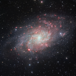 The Triangulum Galaxy (M33), the third primary spiral galaxy in the Local Group