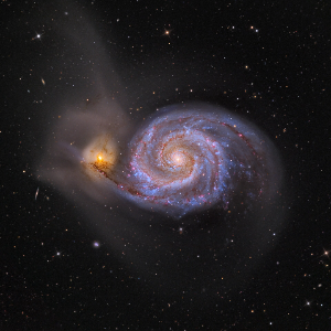 The Whirlpool Galaxy (M51), an iconic face-on spiral galaxy in the M51 Group of the Local Filament