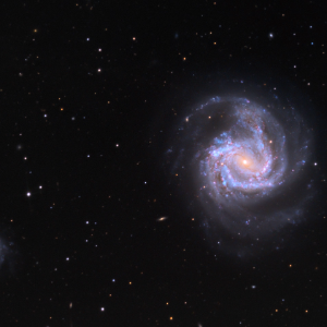 M61, a grand design spiral galaxy dominating the Southern Cloud subgroup of the Virgo Cluster