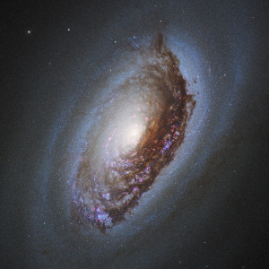 M64, the Black Eye Galaxy
