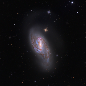 M66, a member of the Leo Triplet