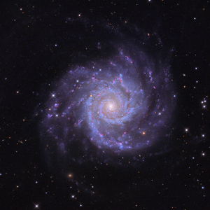 M74, the Phantom Galaxy, anchoring the M74 Group at the Local Void boundary