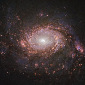 M77, the Squid Galaxy, anchoring the M77 Group at the Sculptor Void boundary