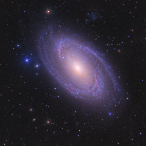 M81 (Bode's Galaxy), the dominant galaxy of the M81 Group in the Council of Giants