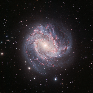 M83, the Southern Pinwheel Galaxy