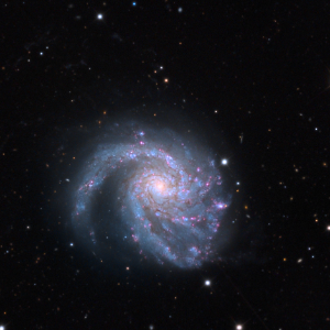 M99 (St. Catherine's Wheel), a spiral galaxy in the Northern Cloud subgroup