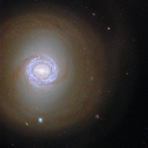 NGC 1317