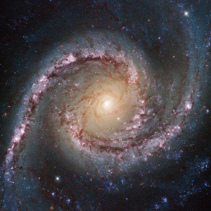 NGC 1566, the Spanish Dancer, a magnificent barred spiral dominating the Dorado Group