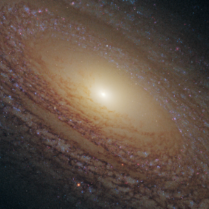 NGC 2841, a flocculent spiral galaxy anchoring its group in the Ursa Major Cloud