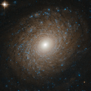 NGC 2985
