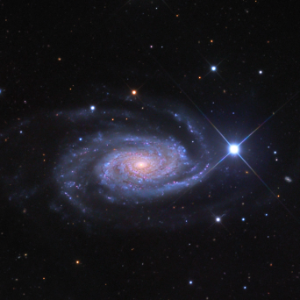 NGC 3338