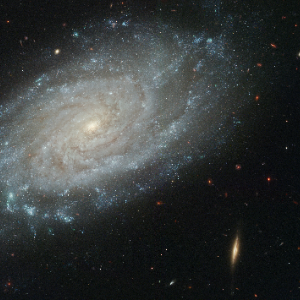NGC 3370, a spiral galaxy anchoring the NGC 3370 Group in the Leo Association