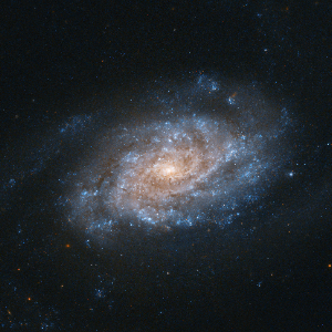 NGC 3455