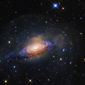 NGC 3521, the Bubble Galaxy, a field galaxy at the Sculptor Void boundary