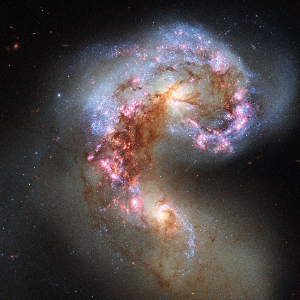 The Antennae Galaxies (NGC 4038 and NGC 4039), an archetypal galactic collision with dramatic tidal tails and intense starburst activity
